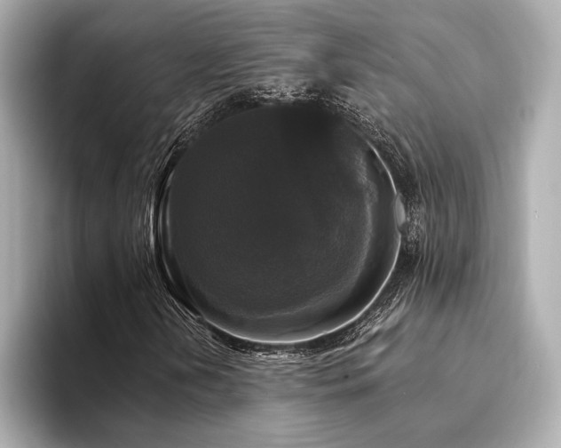 X0000094351202200711021426