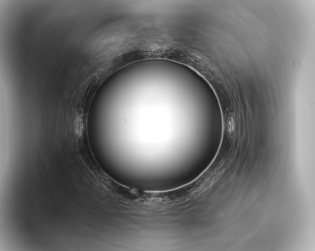 X0000094351204200711021426