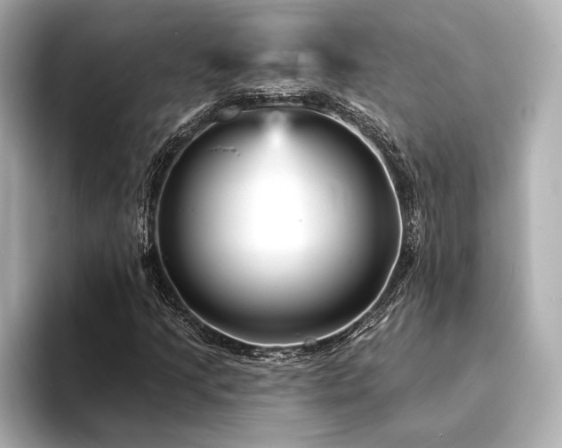 X0000094351205200711021426