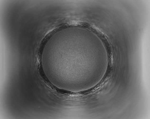 X0000094351206200711021426
