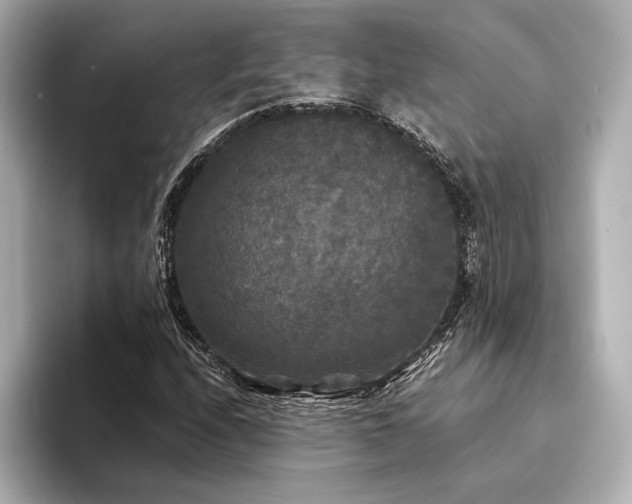 X0000094351208200711021426