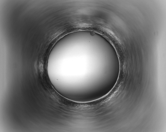 X0000094351209200711021426