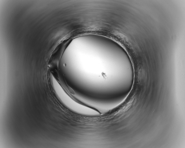 X0000094351210200711021426