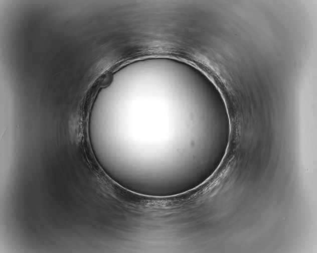 X0000094351211200711021426