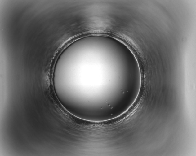 X0000094351212200711021426