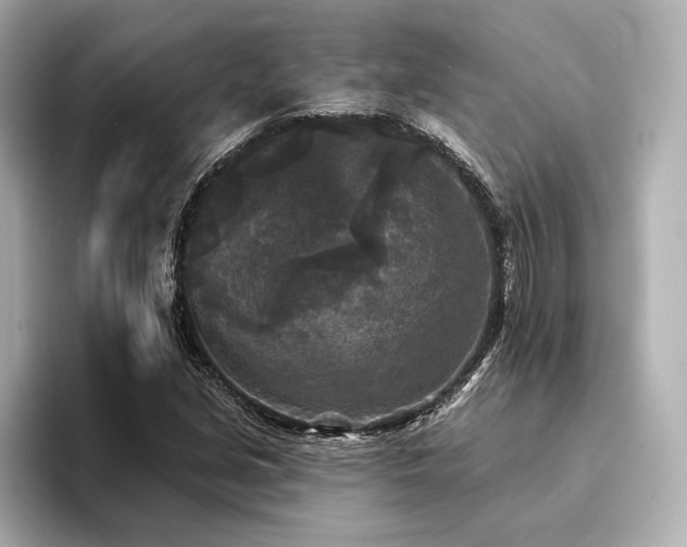 X0000094351213200711021427