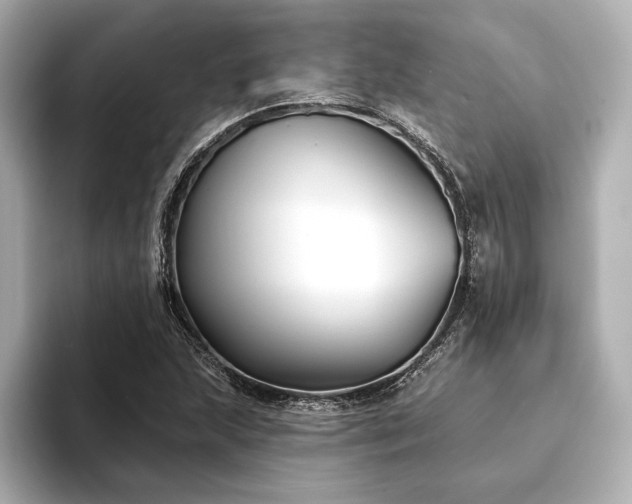 X0000094351215200711021427