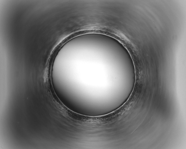 X0000094351216200711021427