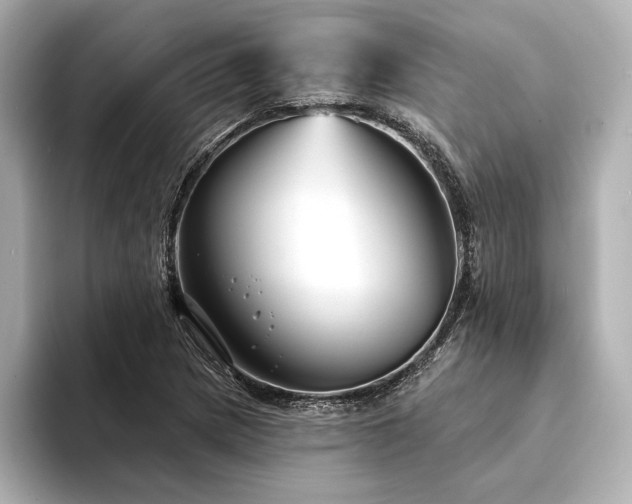 X0000094351217200711021427