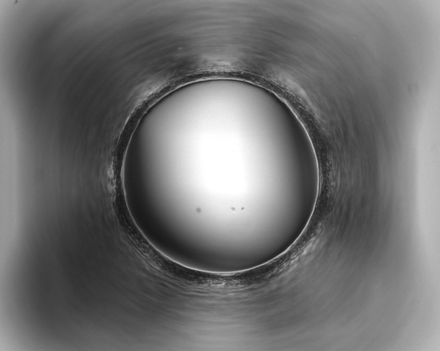 X0000094351218200711021427