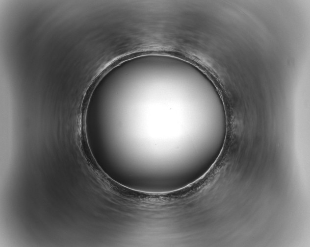 X0000094351220200711021427