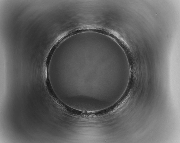 X0000094351221200711021427