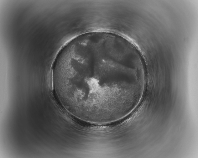X0000094351223200711021427