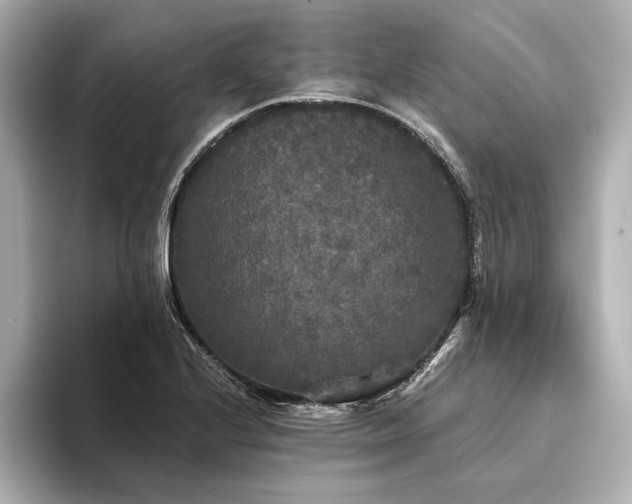 X0000094351224200711021427