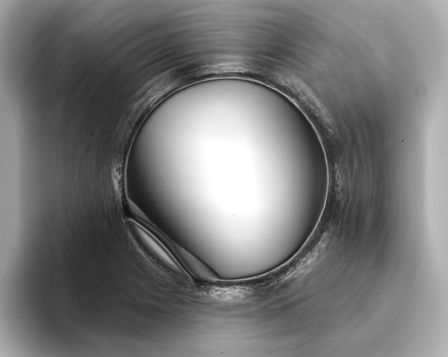 X0000094351225200711021427