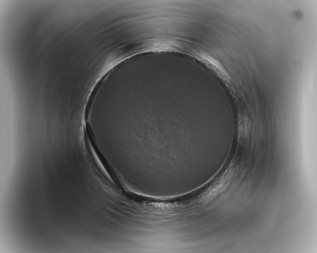 X0000094351226200711021427