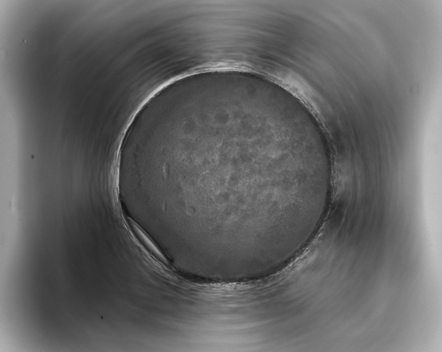 X0000094351228200711021427