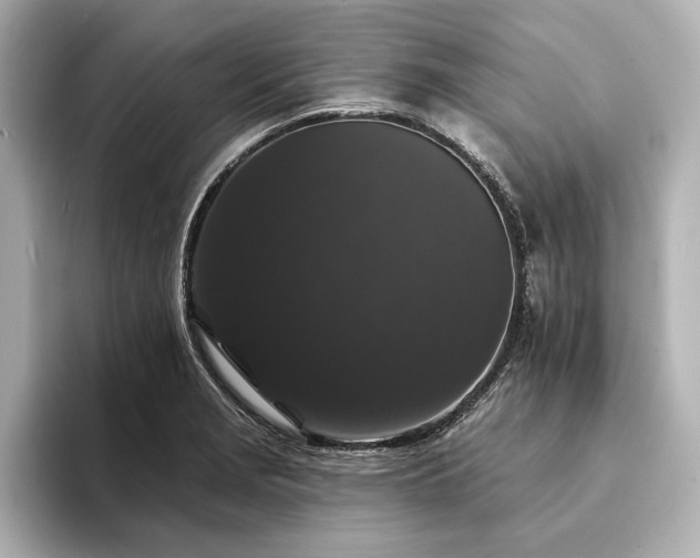 X0000094351229200711021427