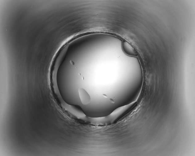 X0000094351230200711021427