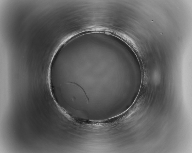 X0000094351231200711021427