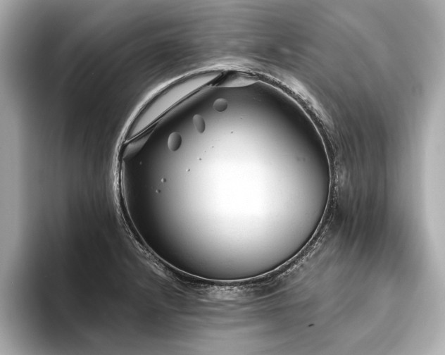 X0000094351232200711021427