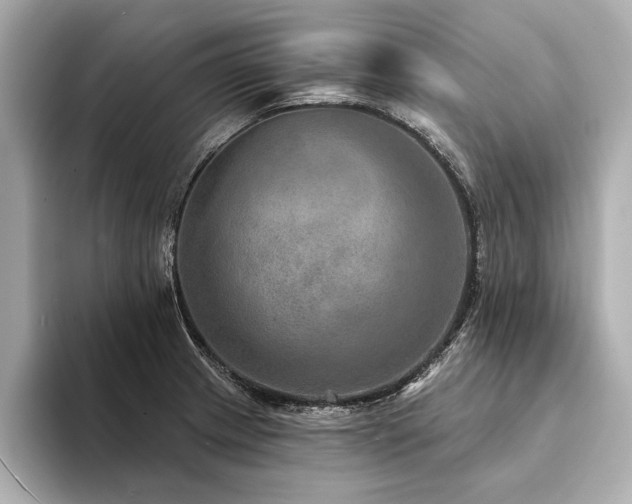 X0000094351233200711021427