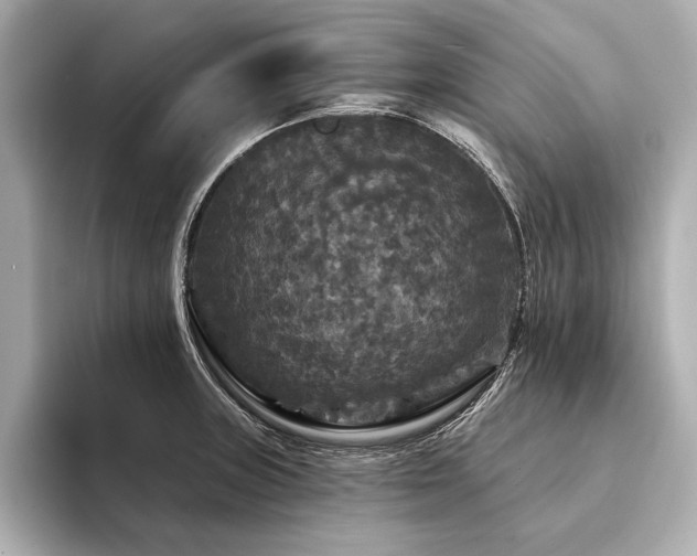 X0000094351235200711021427