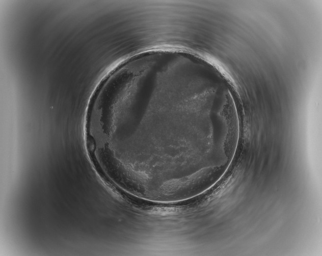 X0000094351237200711021427