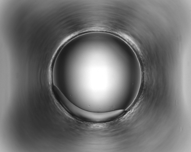 X0000094351238200711021427