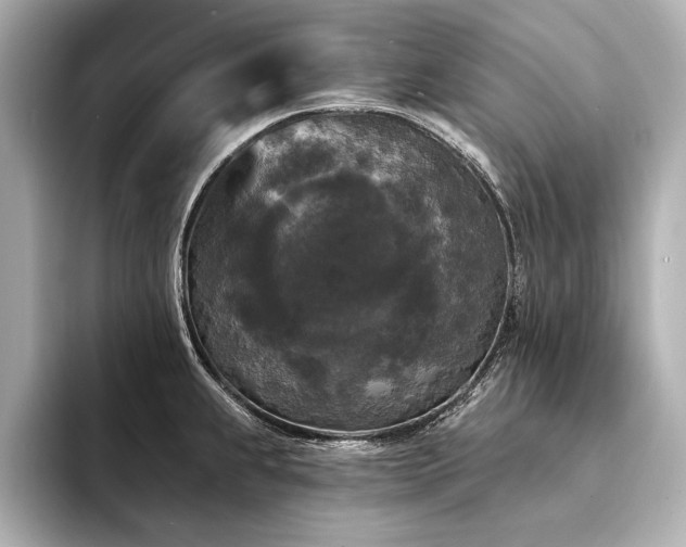 X0000094351239200711021427