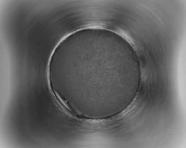 X0000094351240200711021427