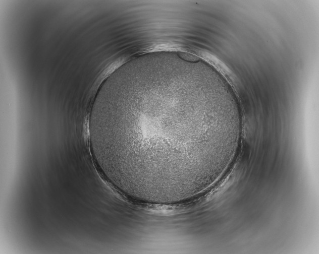 X0000094351241200711021427