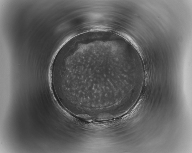 X0000094351243200711021427