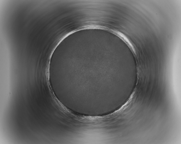 X0000094351244200711021427