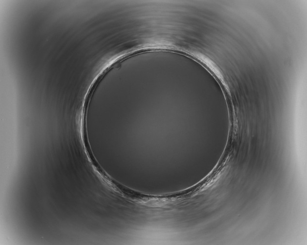 X0000094351245200711021427