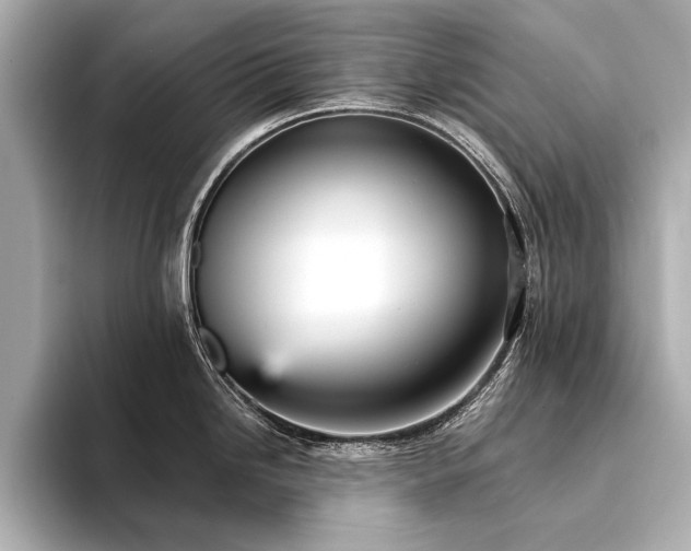 X0000094351246200711021427