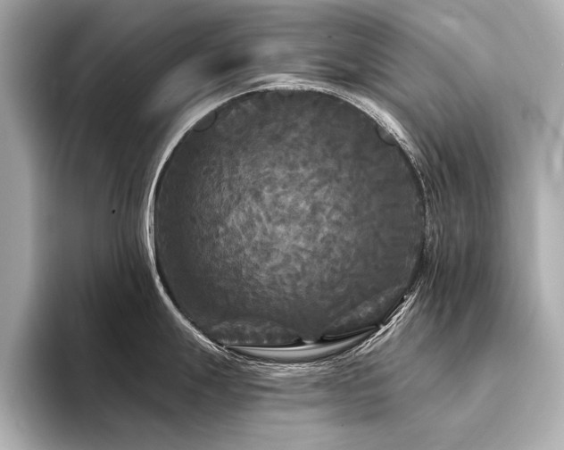X0000094351247200711021427