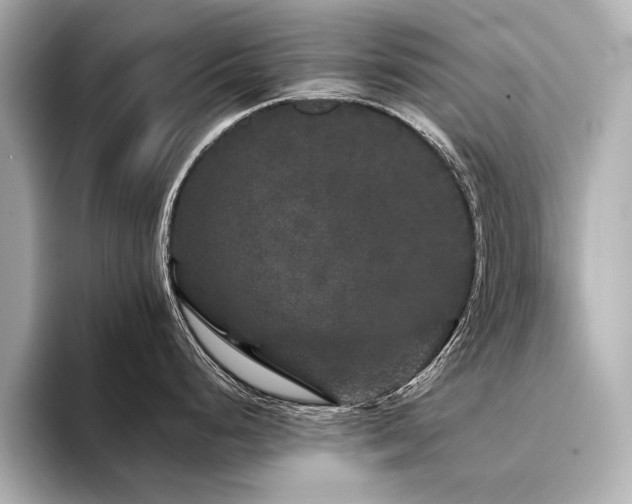 X0000094351248200711021427
