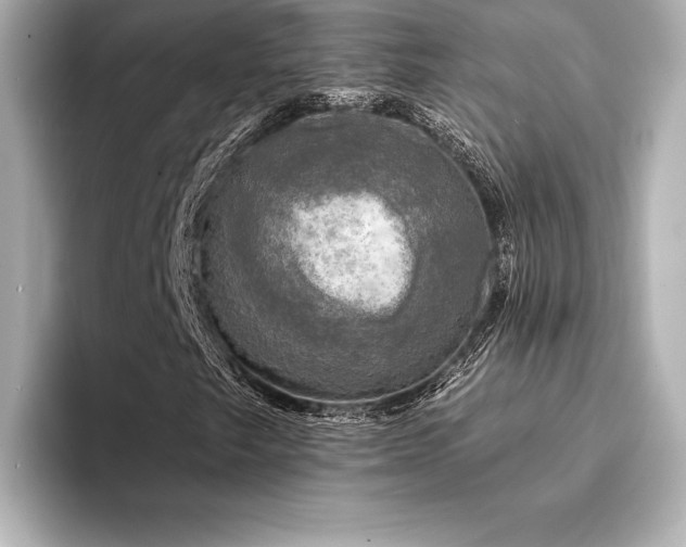 X0000094351249200711021426