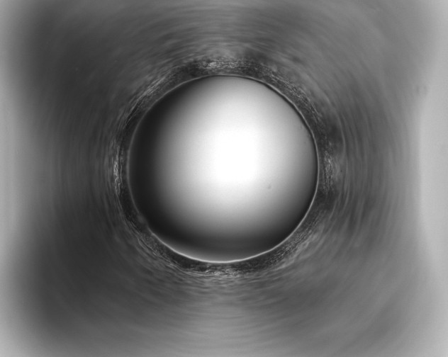X0000094351250200711021426