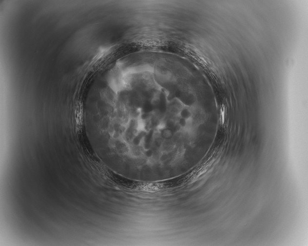 X0000094351251200711021426