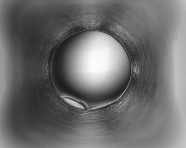 X0000094351252200711021426