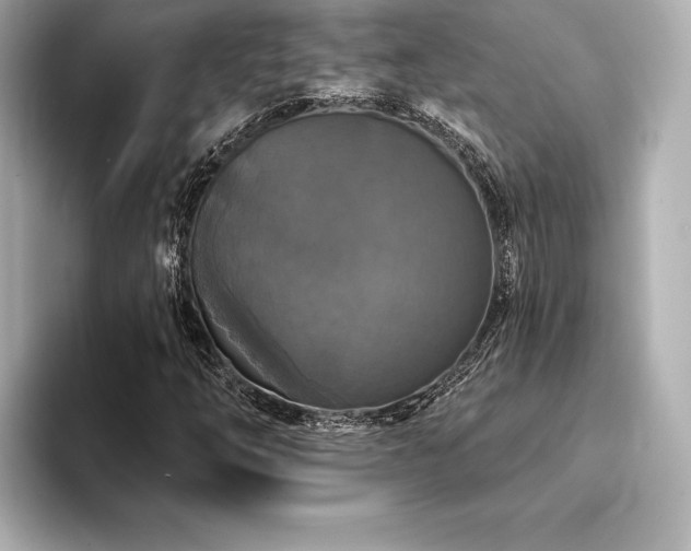 X0000094351254200711021426