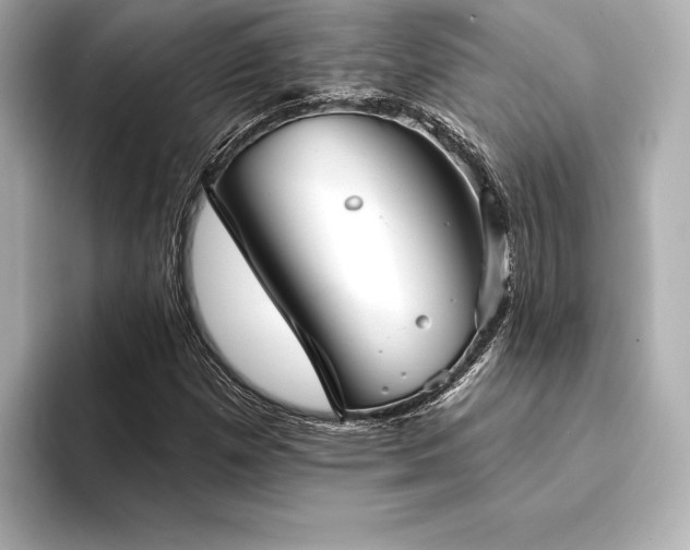 X0000094351257200711021426