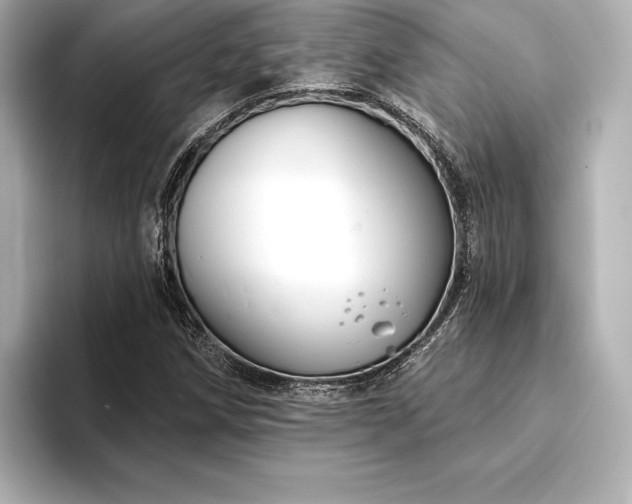 X0000094351258200711021426