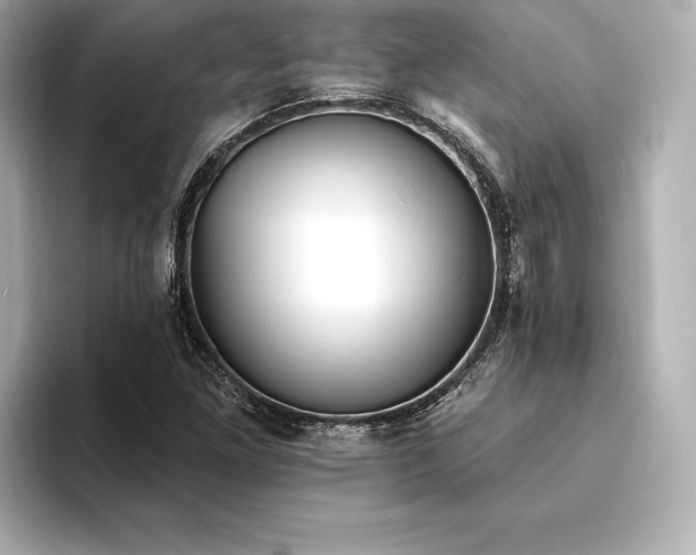 X0000094351261200711021426