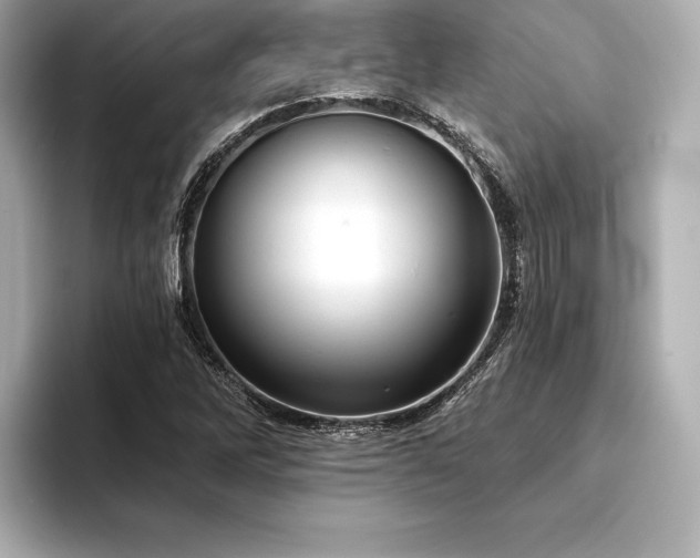 X0000094351262200711021426