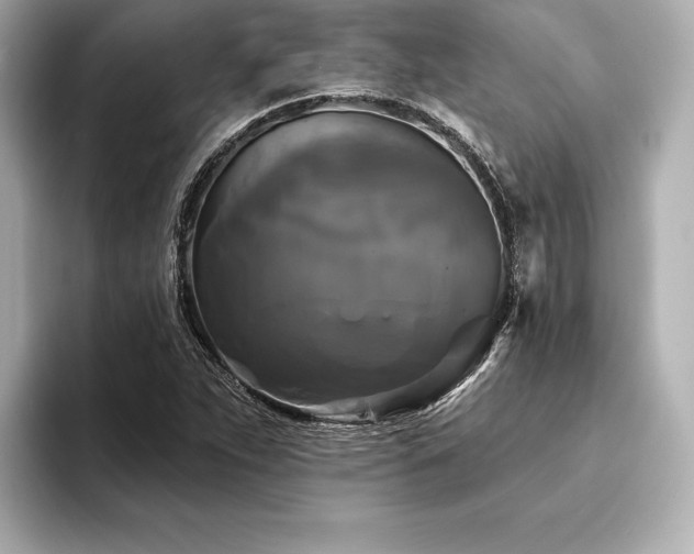 X0000094351263200711021426