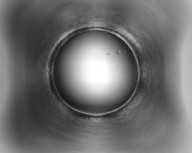 X0000094351264200711021426
