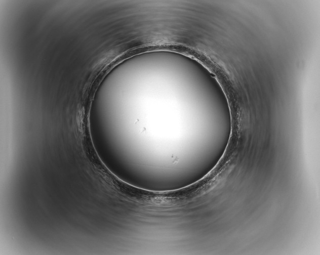 X0000094351265200711021426